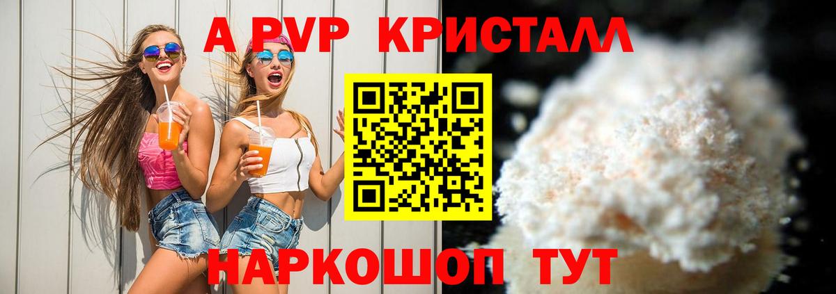A PVP СК КРИС Зеленогорск