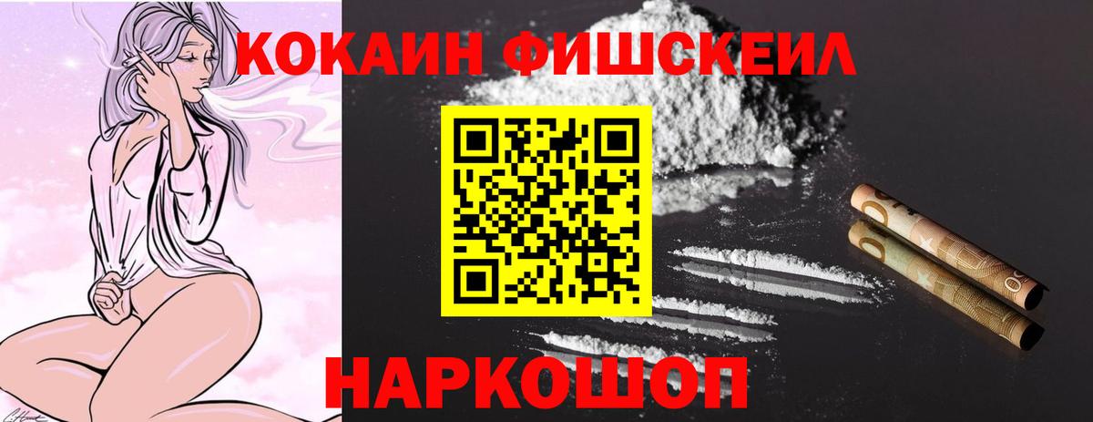 Cocaine Fish Scale  Кокаин  Зеленогорск  Вход с VPN 