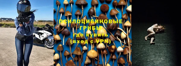 дживик Абинск