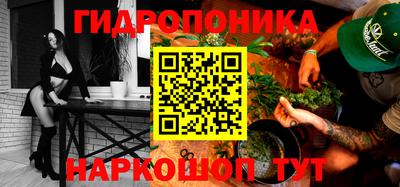 твердый Бийск
