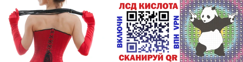 продажа наркотиков  Зеленогорск  мега зеркало  Наркотические марки 1,8мг 