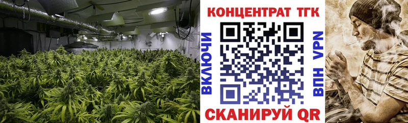 ТГК концентрат где продают наркотики Зеленогорск