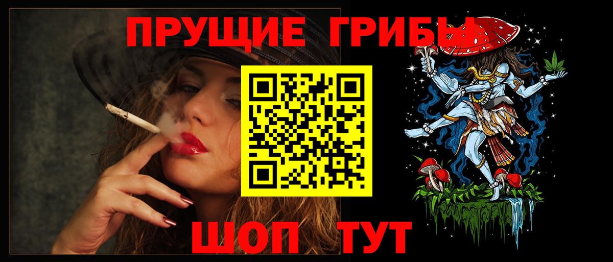 Зеленогорск  Галлюциногенные грибы мухоморы  Вход с VPN 